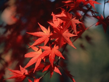 2013-11-07 19.05.13.jpg